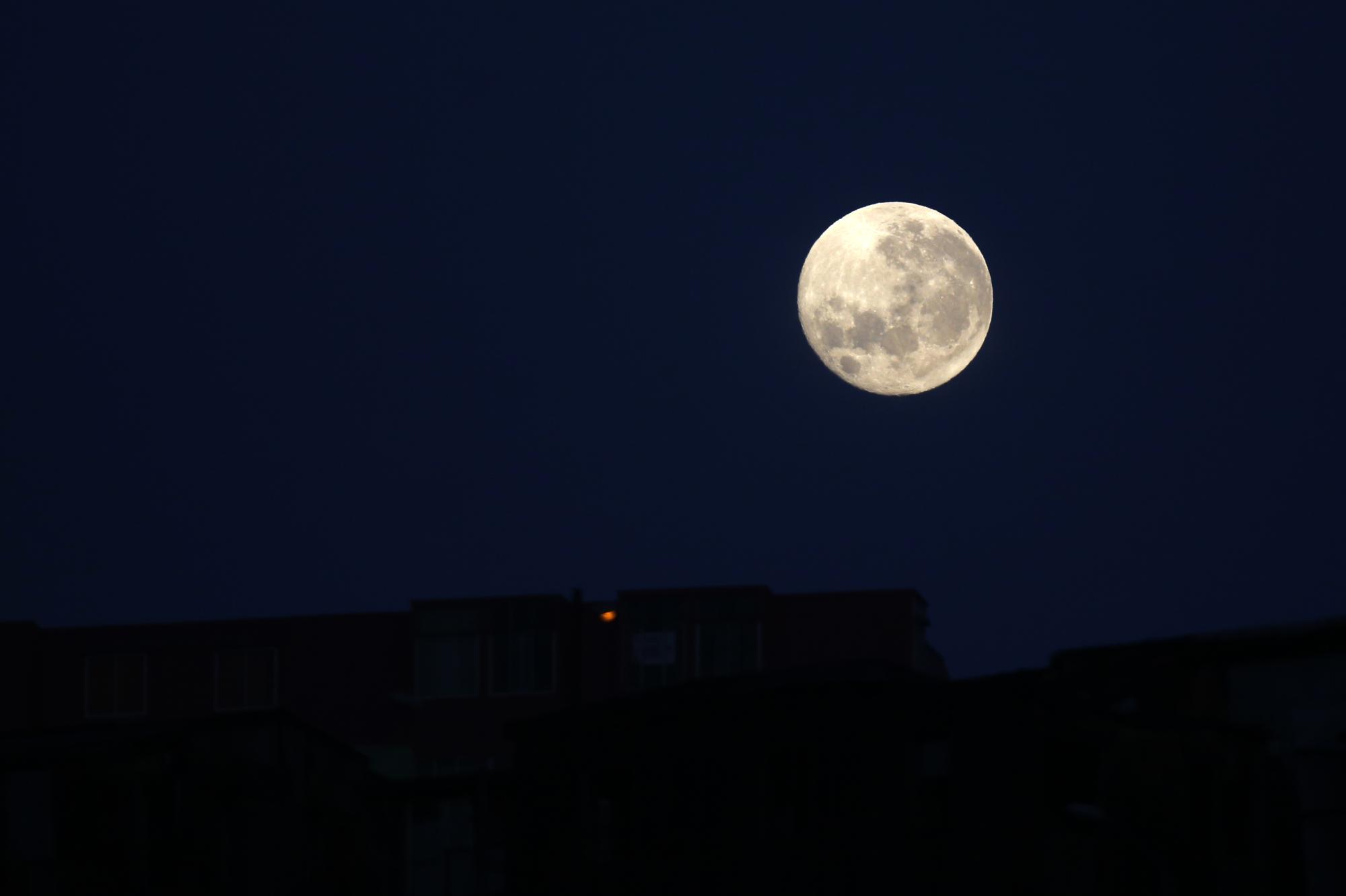 Luna de Nieve