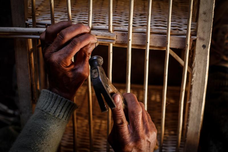 Bolsa Nacional de Empleo