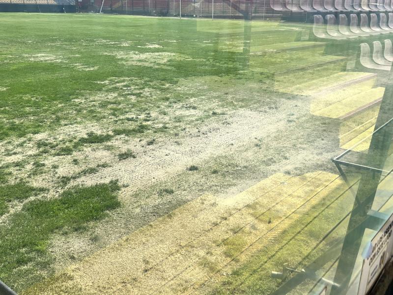 Santa Laura tras el rugby (Foto: Mr Funko en twitter)