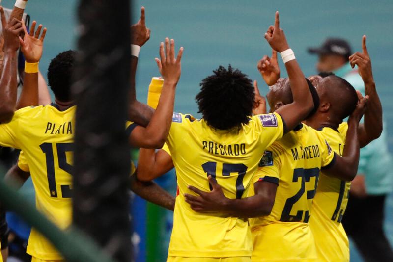 Catar vs. Ecuador - Photosport