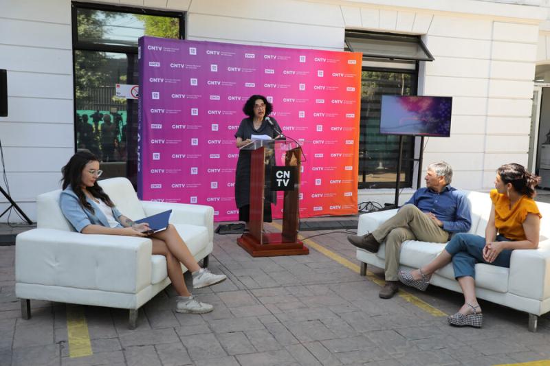 Faride Zerán renuncia al CNTV: “En las condiciones actuales, mi contribución resulta muy limitada”