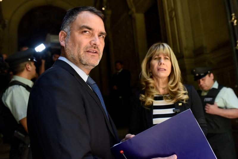 UDI y Demócratas ante el TC