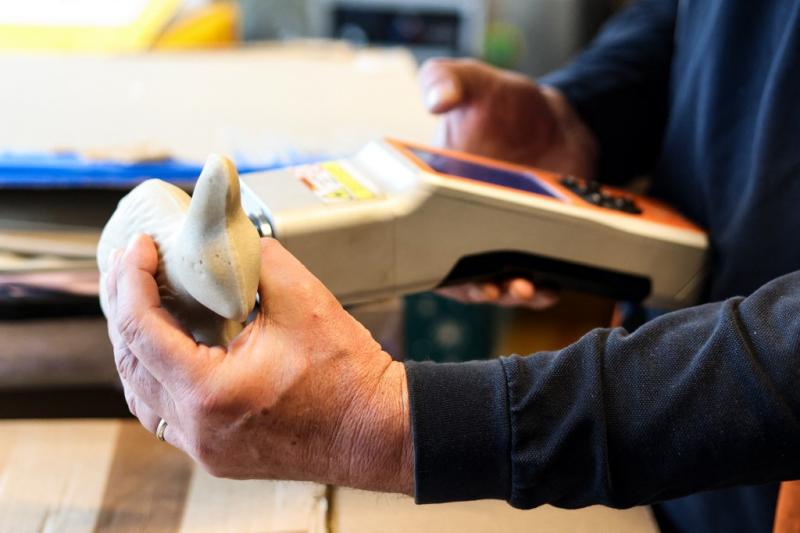 Capturan en Bélgica conejos de Pascua repletos de éxtasis