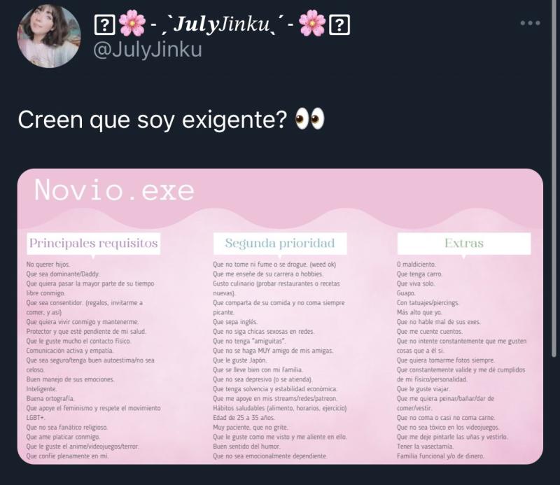 Twitter - Exigencias de una tuitera para tener novio