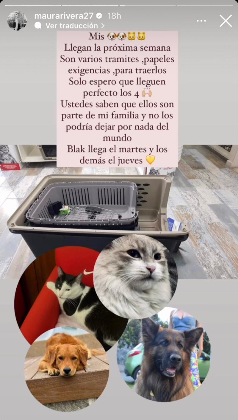 Instagram - Mascotas de Maura Rivera y Mark González