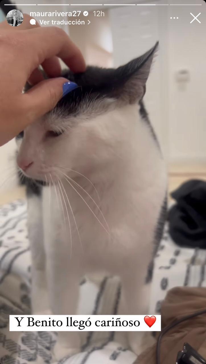 Instagram - Storie de Maura Rivera por sus mascotas