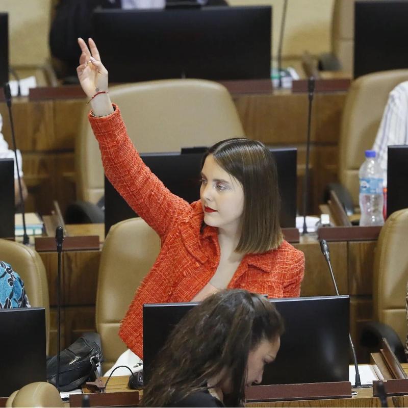 Camila Musante, diputada independiente de la bancada PPD.