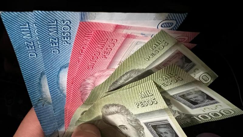 T13.cl - Bonos y ayudas económicas