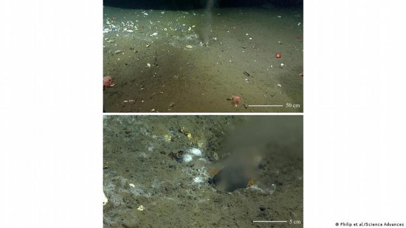 El flujo de gran volumen y 12°C en el Oasis de Pythia está confinado a un respiradero de 5 cm de diámetro.