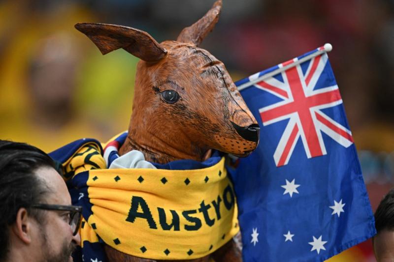 Australia valora sacrificar canguros para evitar que mueran de hambre