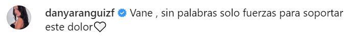 Los sentidos mensajes de apoyo de famosos a Vanesa Borghi tras su pérdida