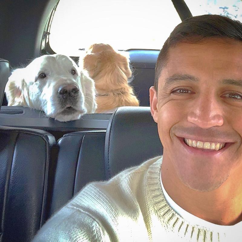 Alexis Sánchez con Humber y Atom, sus dos perros que han saltado a la fama - Instagram