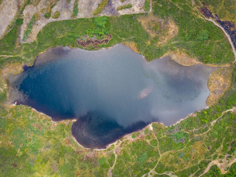 La importancia de recuperar los humedales - Agencia Uno