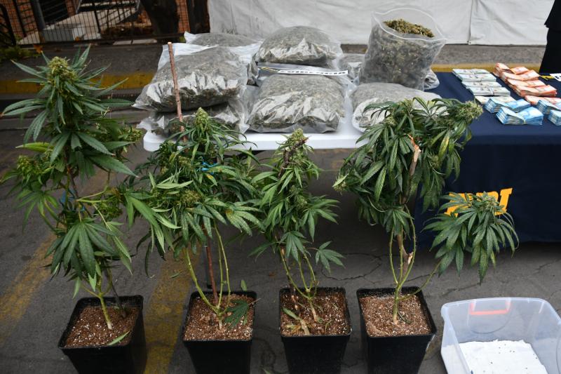 Agencia Uno - Ley Antinarcotráfico