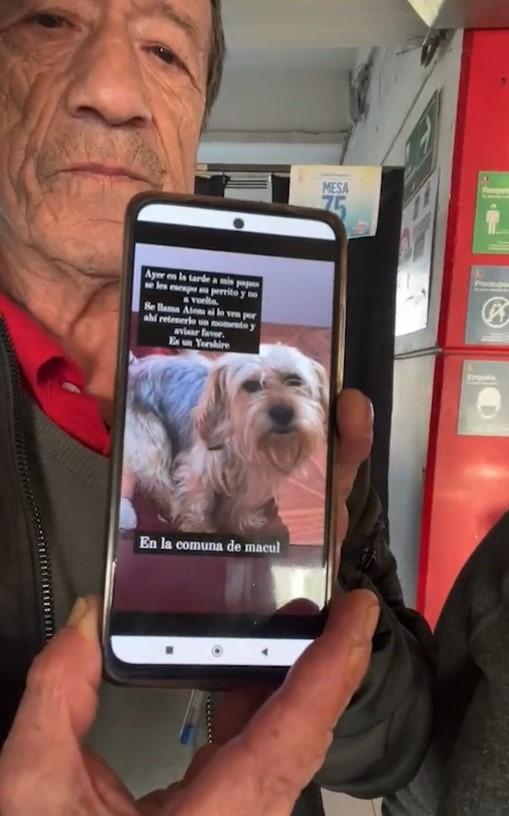 T13 - Familia busca a su perro perdido