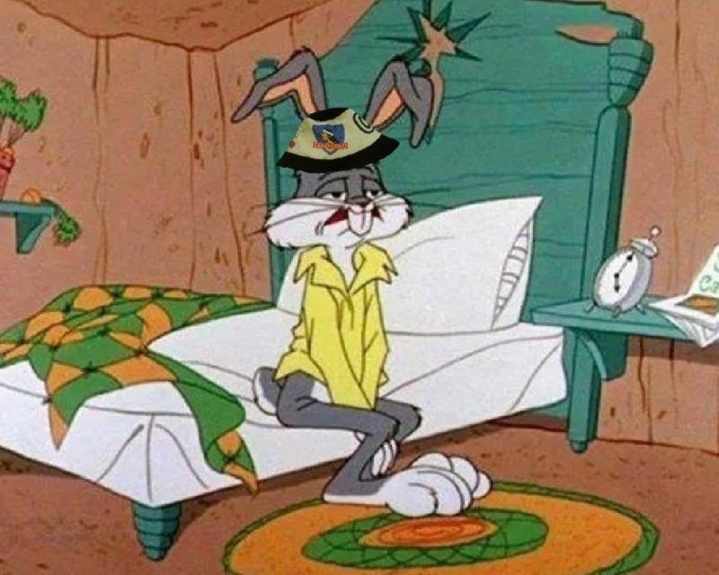 Los hinchas de Colo Colo criticaron duramente al plantel.