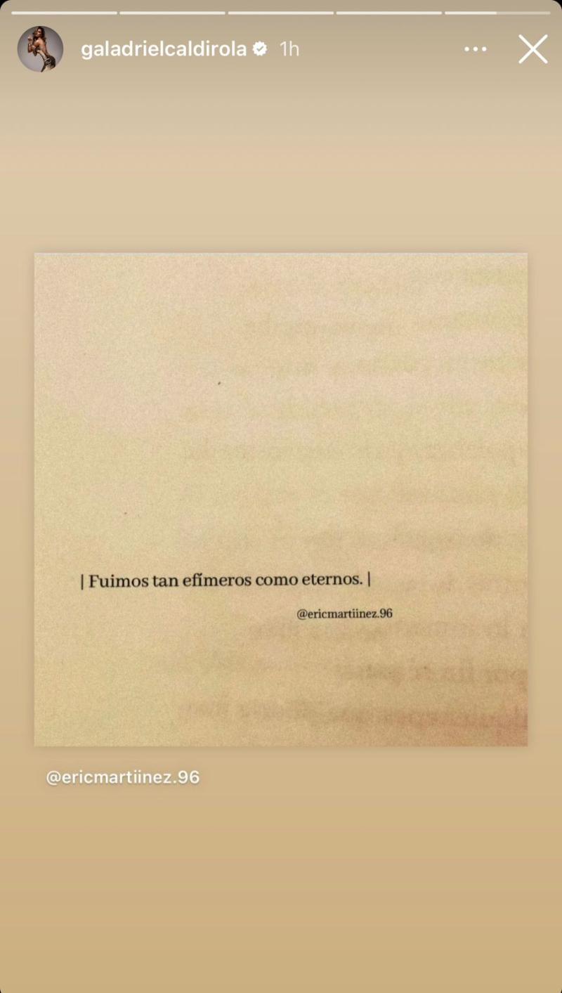 Instagram - Mensaje de Gala Caldirola en sus stories