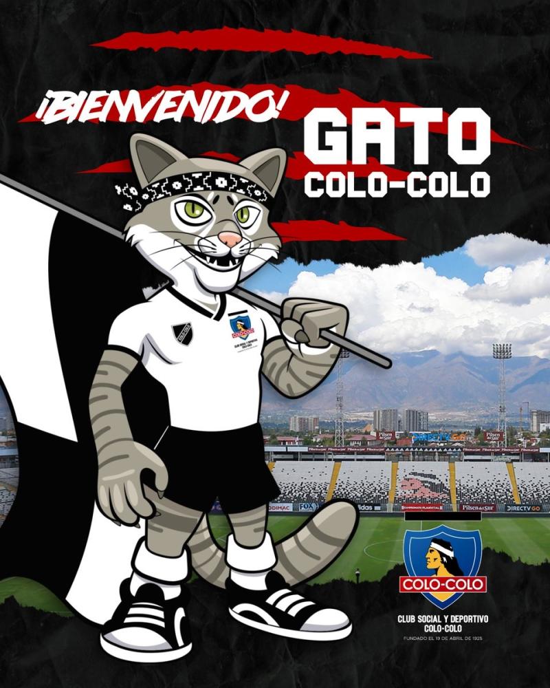 El 'Gato Colo Colo' se sumó al Club Social - Twitter