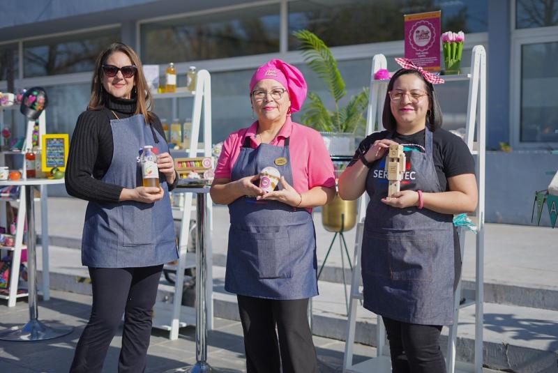 Capital Abeja Sercotec