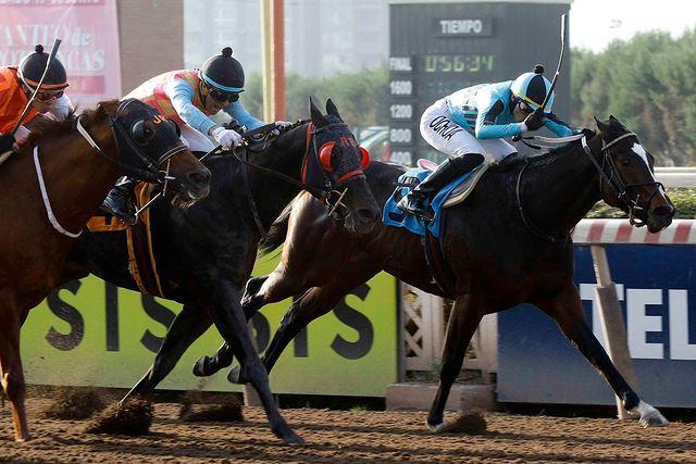 Orgullo Vencido, caballo de Esteban Paredes compitiendo (Foto: Hipódromo Chile)