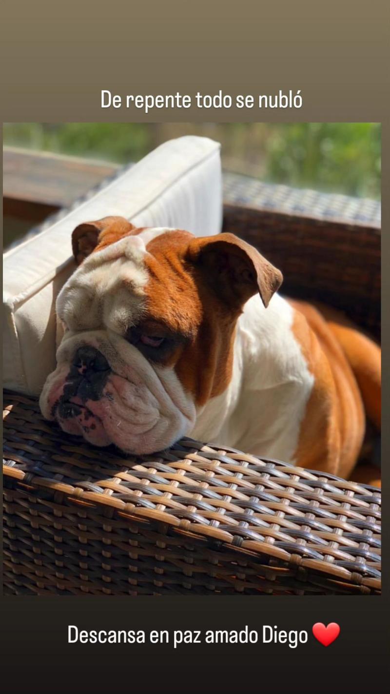 Instagram/nachogutierrezcastillo