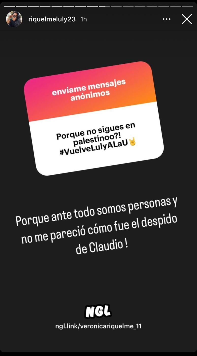 La publicación de la ex goleadora de Palestino.