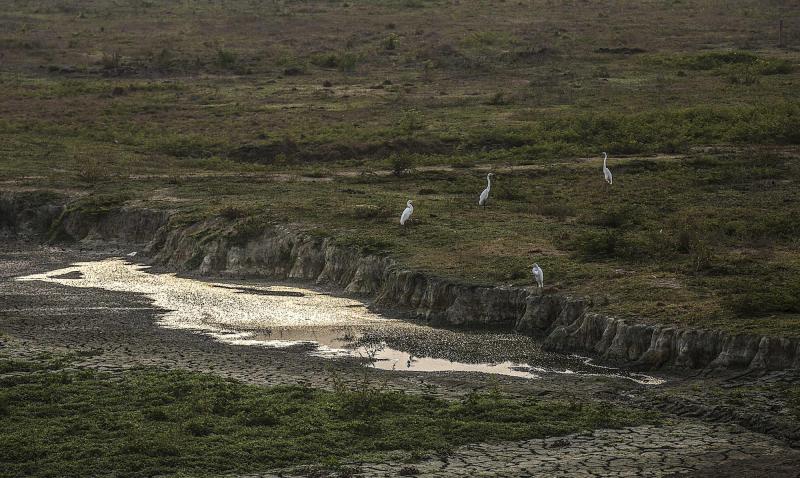 AFP - Fenómeno de El Niño, imagen referencial