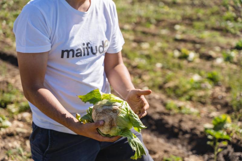 Emprendimiento nacional transforma el desperdicio de alimentos en cajas "imperfectas"