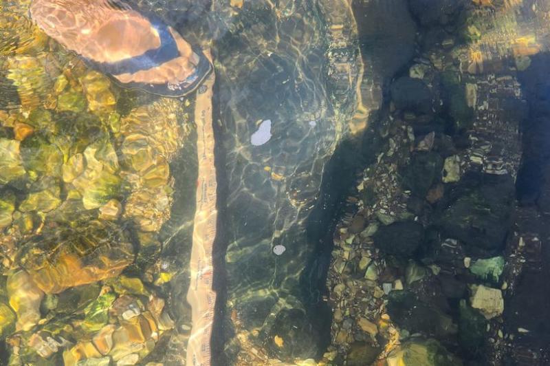 Supuesta huella de Pie Grande bajo el agua