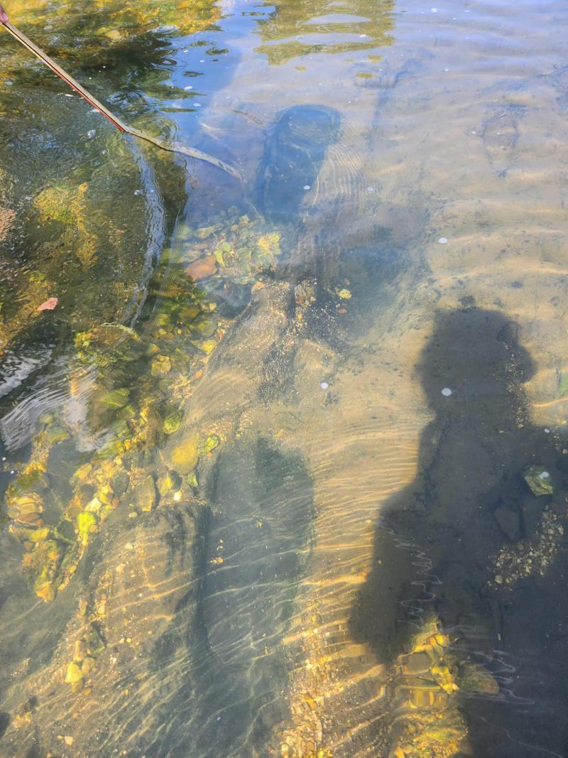 Supuesta huella de Pie Grande bajo el agua