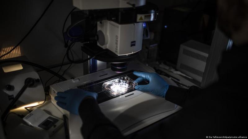 En 2022, un equipo de investigadores dirigido por Jacob Hanna, del Instituto Weizmann de Ciencias, en Rehovot, Israel, logró por primera vez desarrollar embriones sintéticos a partir de células madre de ratón.