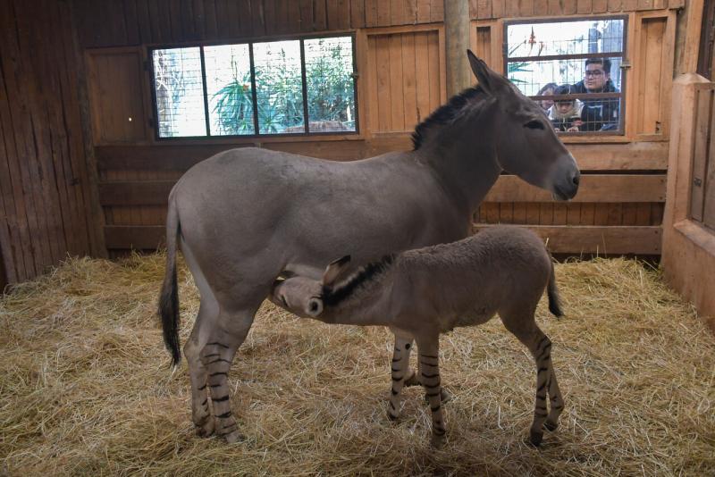 Agencia Uno - Juliana junto a su madre
