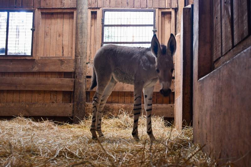 Agencia Uno - Juliana