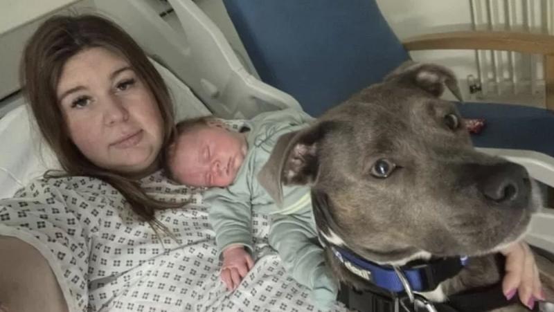 Amee Tompkins y su perro de asistencia