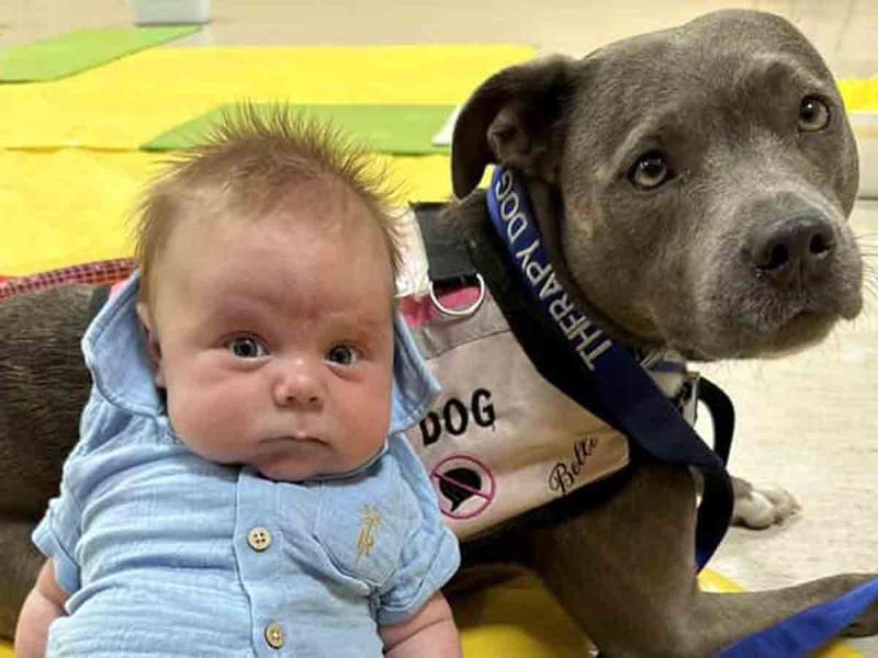 Amee Tompkins y su perro de asistencia