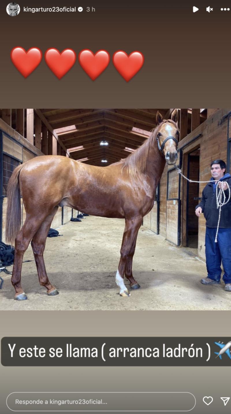 Arturo Vidal (Instagram)