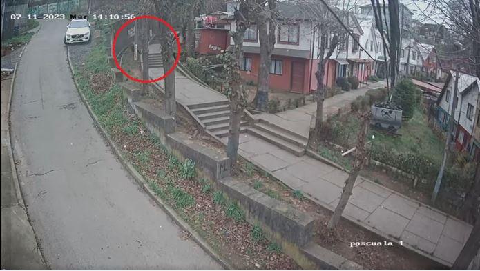 Cámaras de seguridad