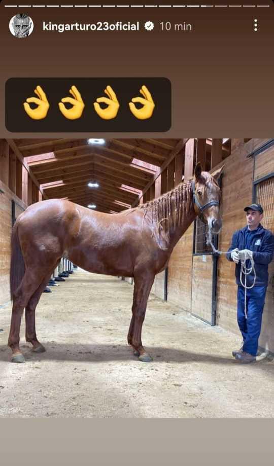Instagram @kingarturo23oficial