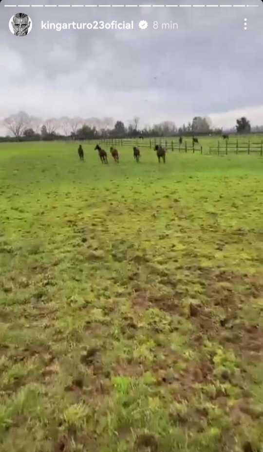 Instagram @kingarturo23oficial