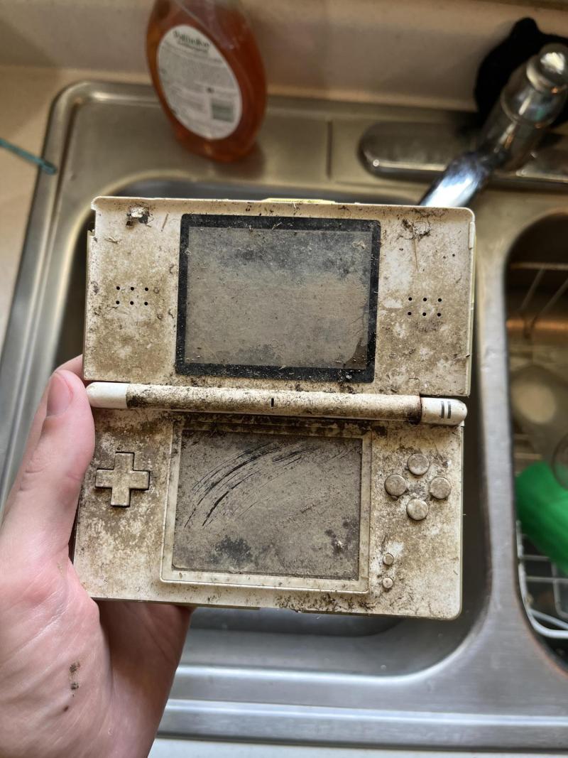 Nintendo DS