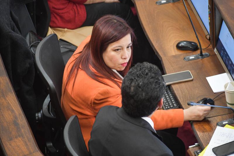 Agencia Uno - Consejera constitucional Karen Araya (PC)