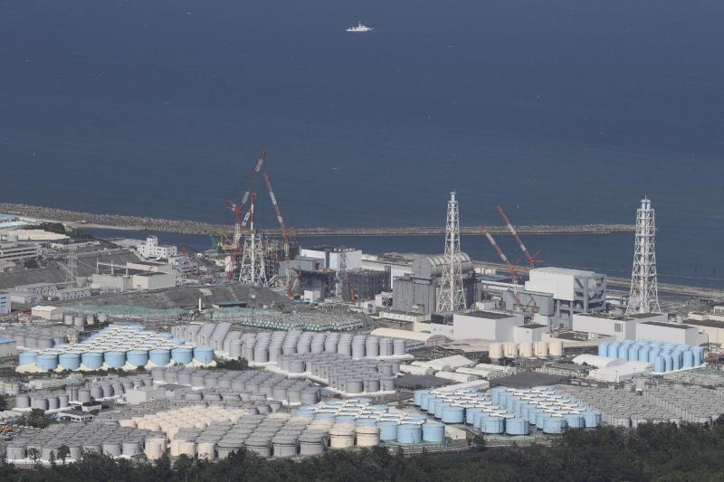 AFP - AFP - Muestras de Fukushima en Japón están dentro de límites de seguridad