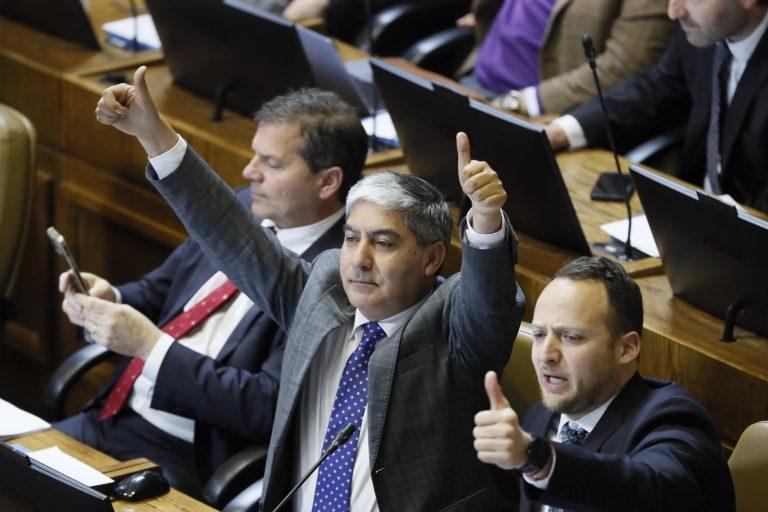 Cámara de Diputadas y Diputados - Parlamentarios a favor de Ley de Usurpaciones