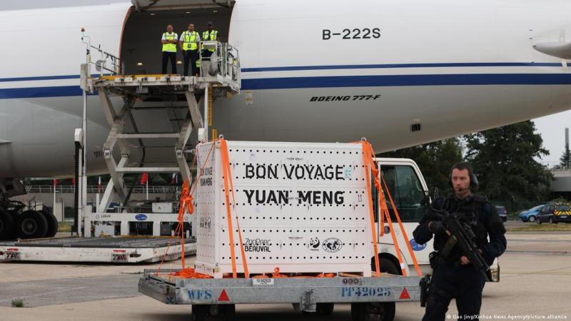La caja en la que fue transportado el panda Yuan Meng