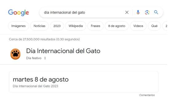 Animación de Google - Día del Gato