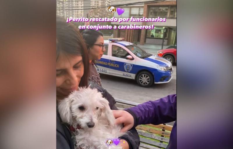 Hombre es detenido en Ñuñoa por golpear a su perro: Agresión fue grabada por vecinos