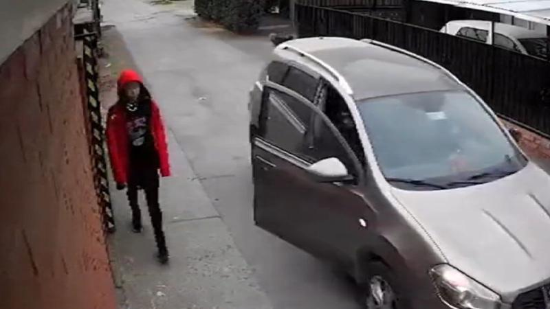 Captura de pantalla - Perro espantó a sujetos que intentaron asaltar a niña en Angol