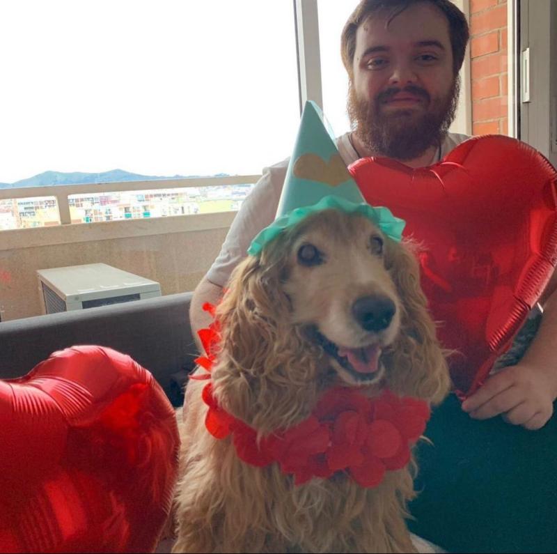 Ibai Llanos sufre con la muerte de Kena - Twitter