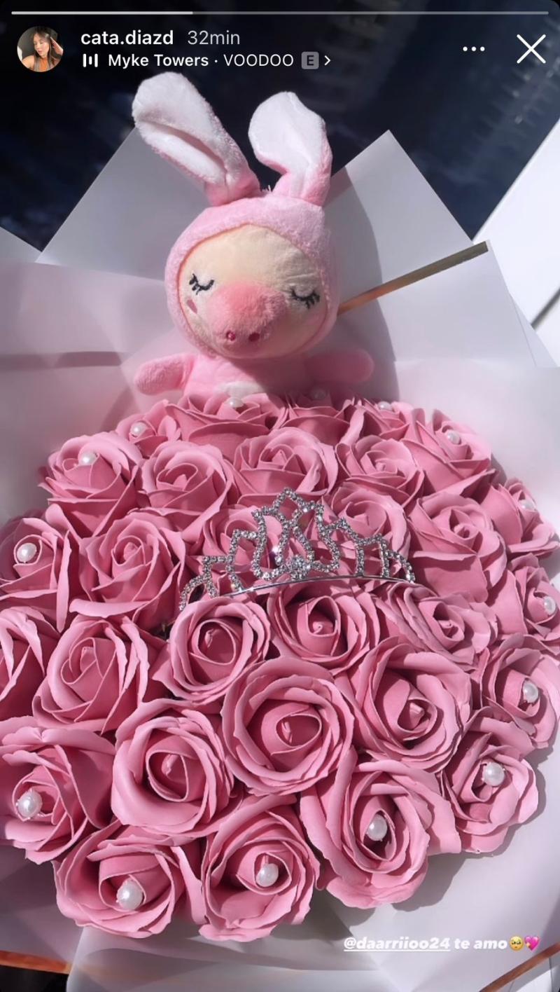 Catalina Díaz compartió el tierno detalles Darío Osorio en rede sociales - Créditos: Instagram