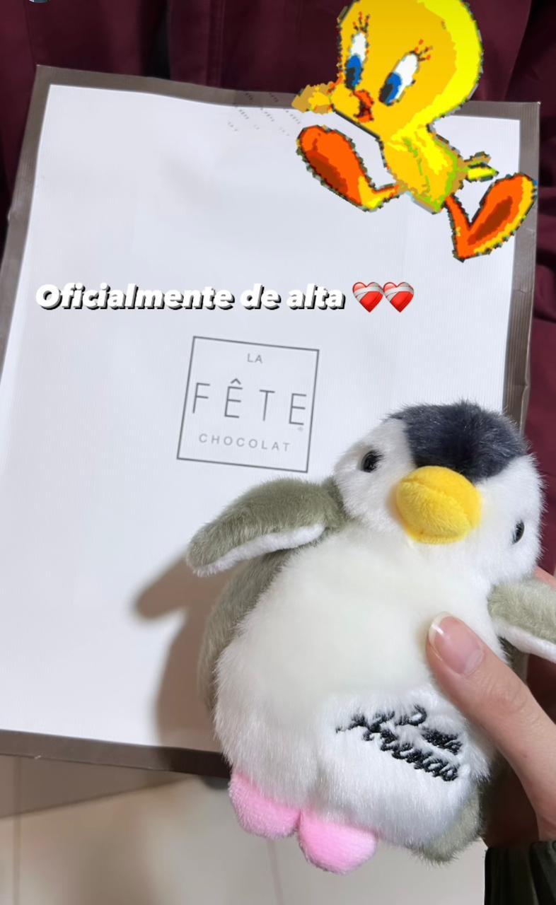 Instagram - Shinipan